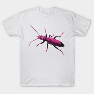 Pink Beetle Wharf Borer T-Shirt